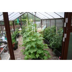 Drivhusblanding <br/>1500 liter <br/>FRI FRAGT