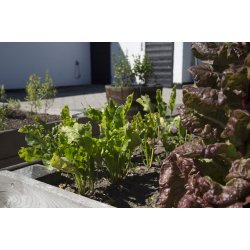 Hjbedsmuld <br/>900 liter <br/>FRI FRAGT