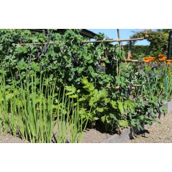 Hjbedsmuld <br/>900 liter <br/>FRI FRAGT