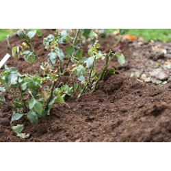 Rosenjord <br/>20 skke &aacute; 50 liter <br/>FRI FRAGT