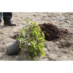 Surbund <br/>20 skke &aacute; 50 liter <br/>FRI FRAGT